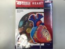4D MASTER HUMAN HEART 身體器官 心臟模型 1/1 NO.26052