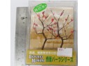 KAWAI 柿樹 (M) 情景改造材料 NO.KW28006