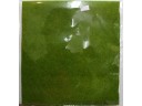 草皮(黃綠色) 背膠黏貼 尺寸約25cmX25cm NO.G01