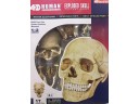4D MASTER 頭骨 HUMAN EXPLODED SKULL 模型 完成品 比例 1/2 26086