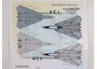 F-14 Tomcat 1/48 水貼紙
